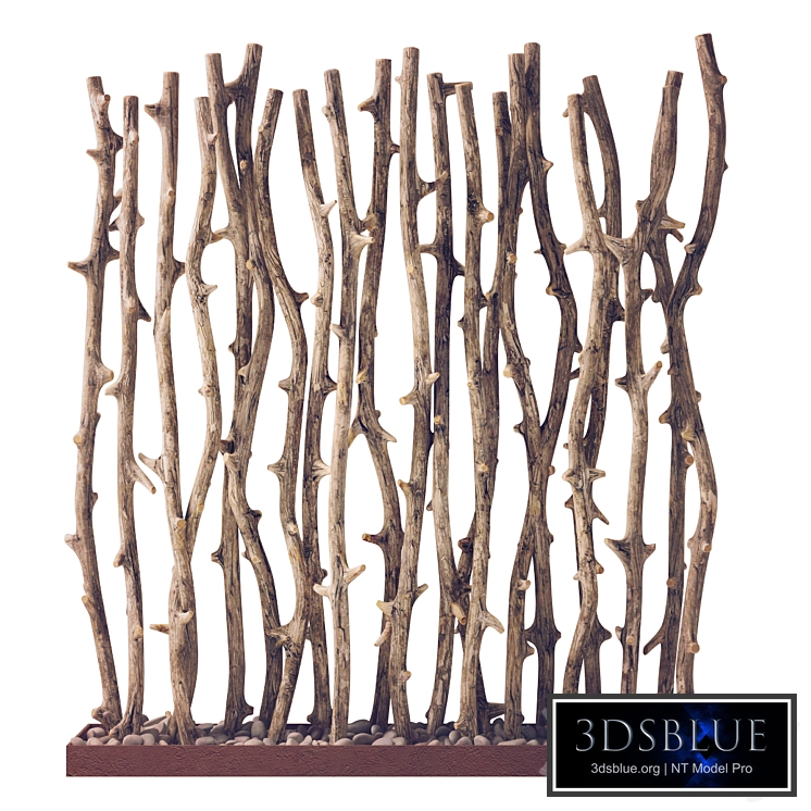 Branches of an old tree fundament pebble