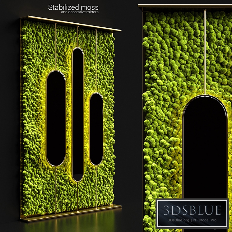 Stabilized moss and mirrors