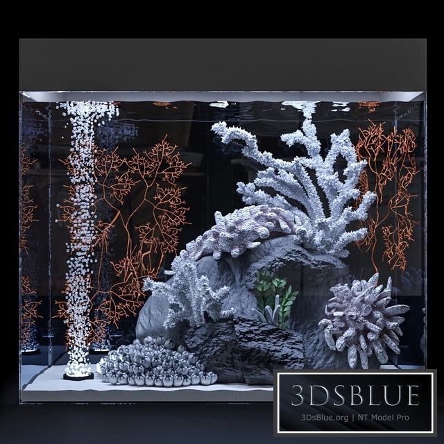Marine aquarium