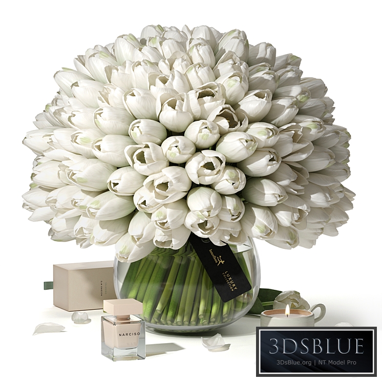 Tulips Interflora Luxury Collection