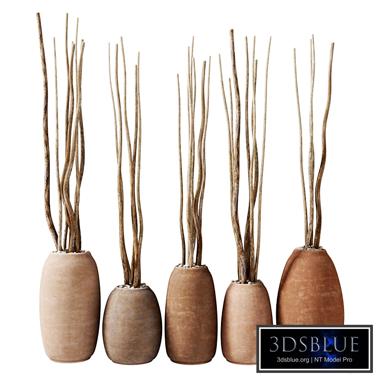 Dry branches in clay pots / Dry branch vase