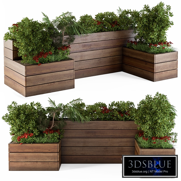 outdoor-plants Flower Box with Red Flowers