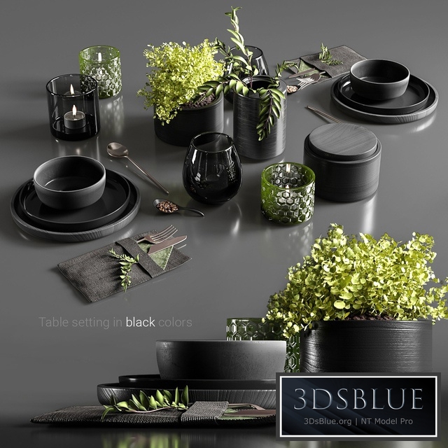 Table setting in black colors