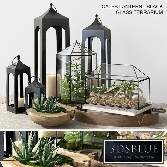 Pottery barn GLASS TERRARIUM