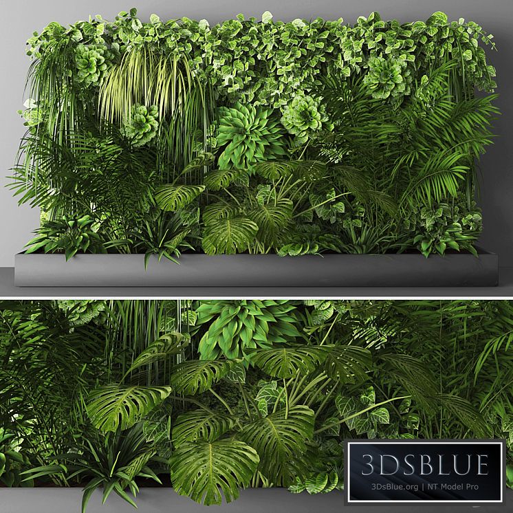 Vertical garden 031