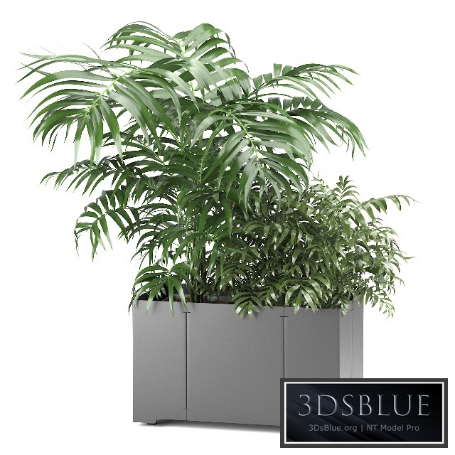 Palm tree in a pot 02 (CAPE Collection)