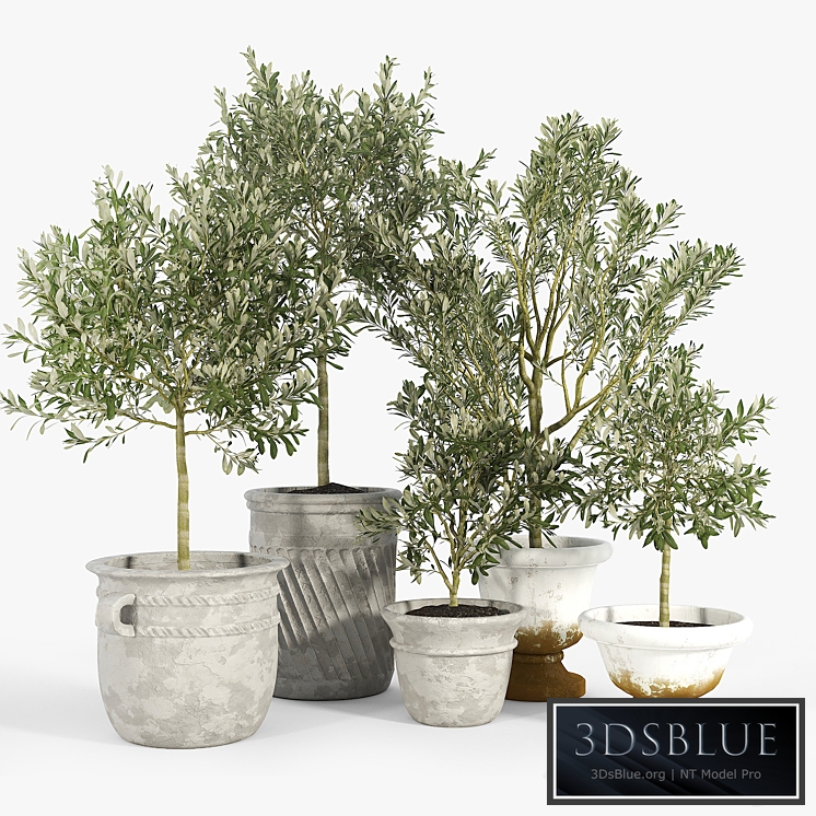 Eclectic Villa Planters