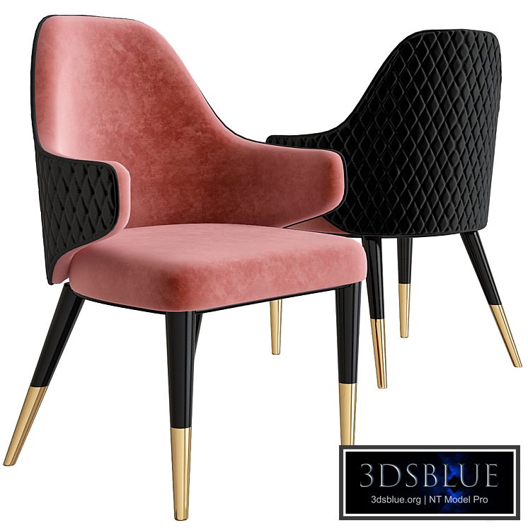 Capital Collection DIVA CB