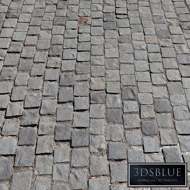 Paving slabs_11