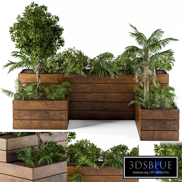 Outdoor Plants-Flower Box 2