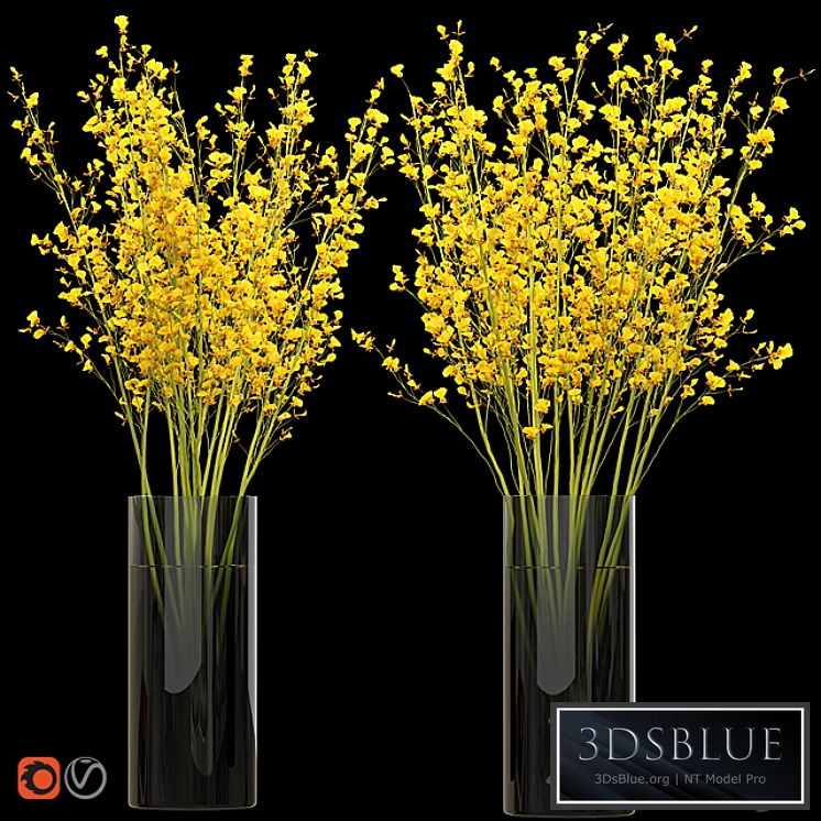 Big bouquet. Orchid oncidium in a vase