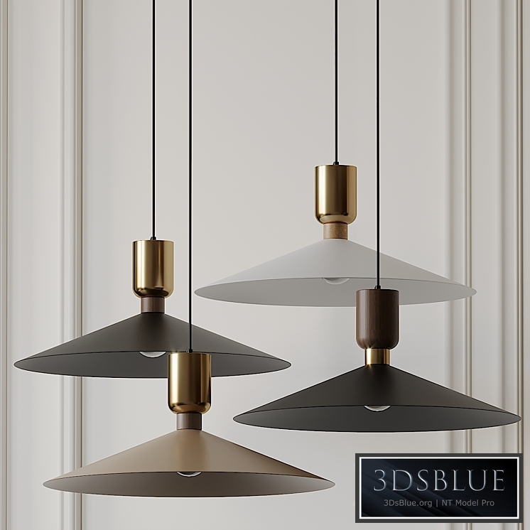 Ring Pendant by Asaf Weinbroom