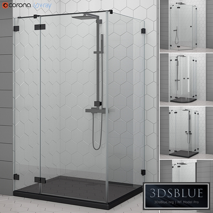Shower enclosures and doors Radaway | Essenza black