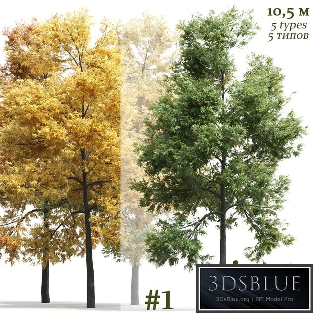 Office Chair Formal Style