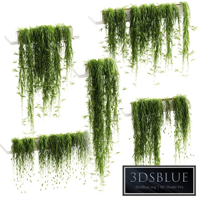 Hanging plants for shelves. 5 models. set 3