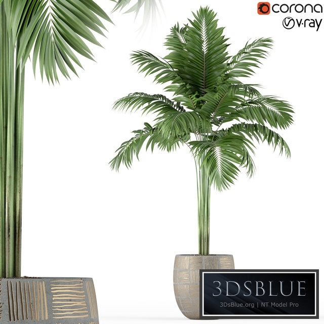 Plants collection 220