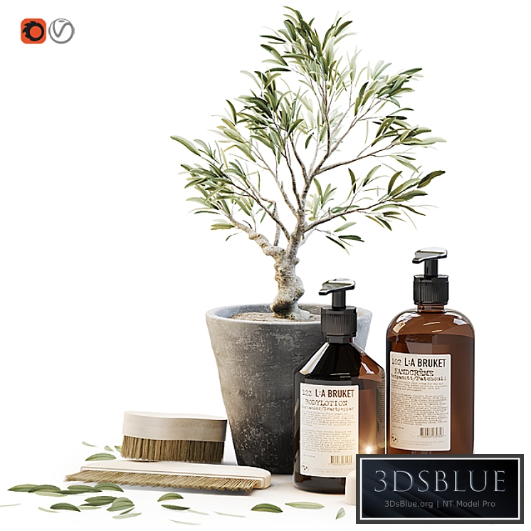 Tiny bonsai olive tree in stone pot with decor set for bathroom