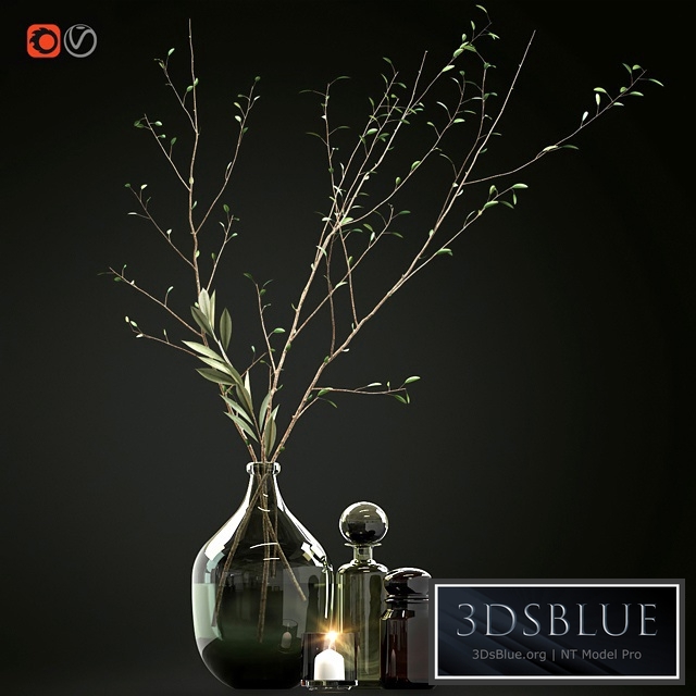 Decorative set with branches and glass bottles