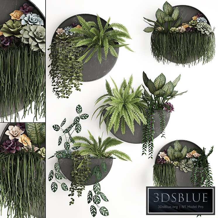 Vertical gardening. 56 Garden, wall decor, ferns, succulents, black metal shelf, flowers, loft, hanging plants, hanging down