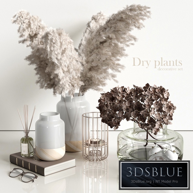 Decorative set with dry plants 4