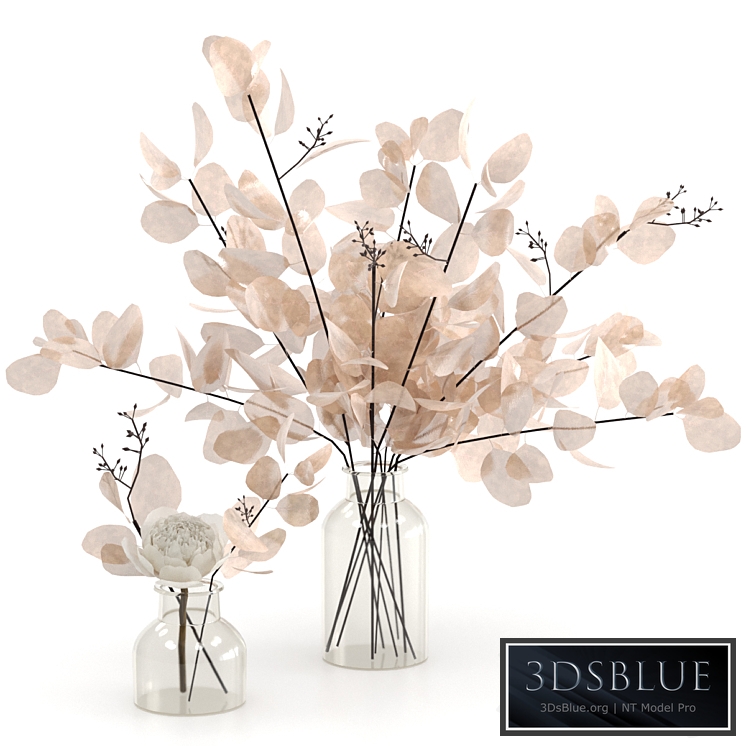 Bouquets of dead wood