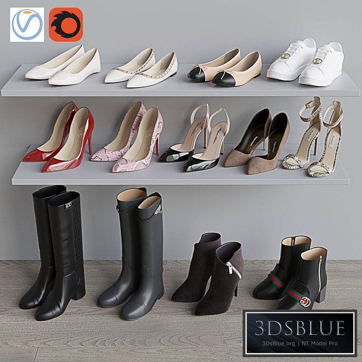  Set of women&#39;s shoes 1