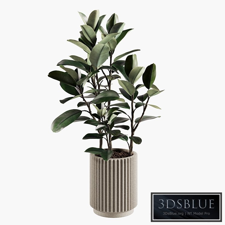 Indoor Plants Set 06