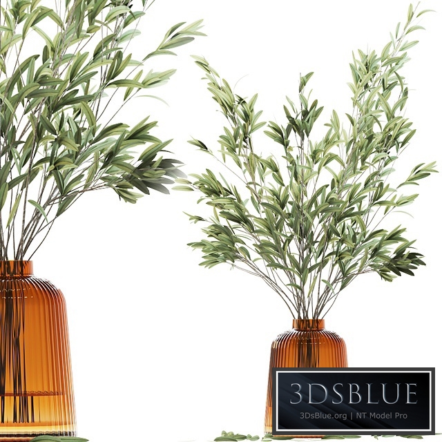 Olive stems in yellow glass vase with water