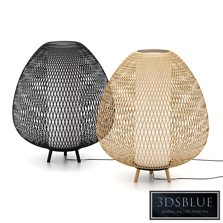 Ay illuminate Twiggy Egg