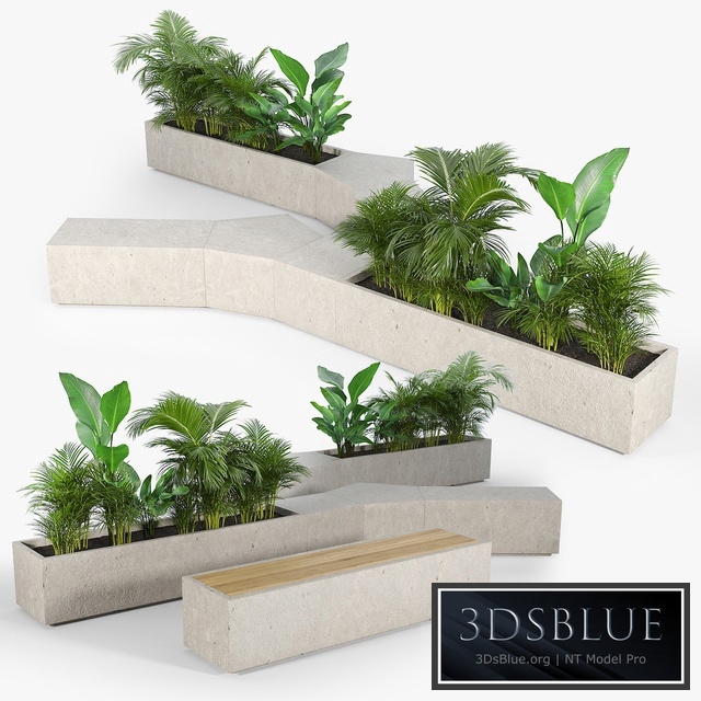 BOX PLANTER Tropics