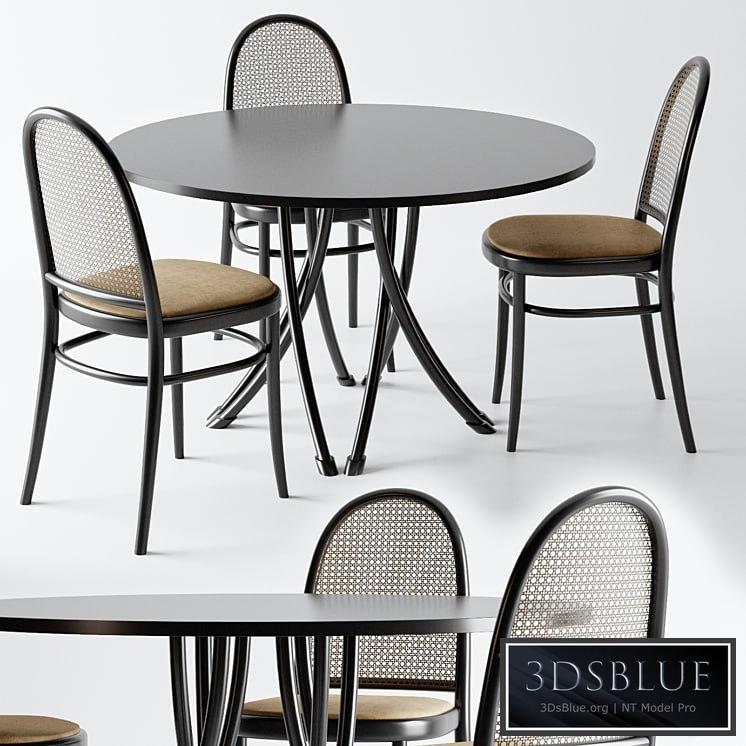 Gebrueder Thonet Vienna - Table and Chair