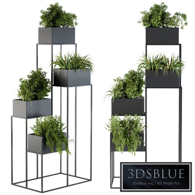 Black Box Plants on stand