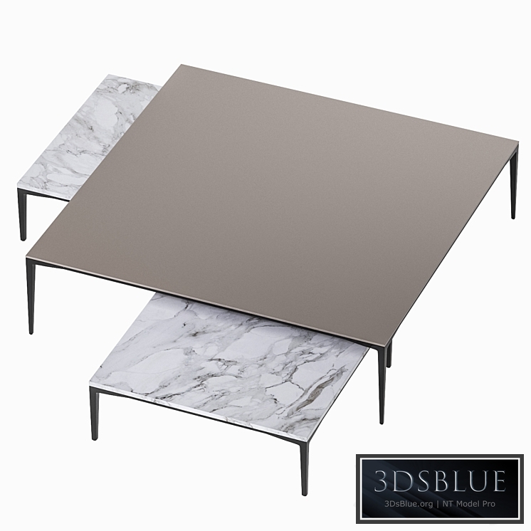 Coffee table Tray 2 Rimadesio