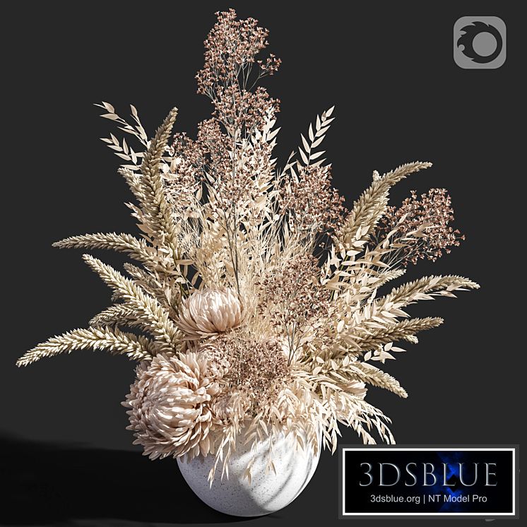 Flower 04 Dry Flowers