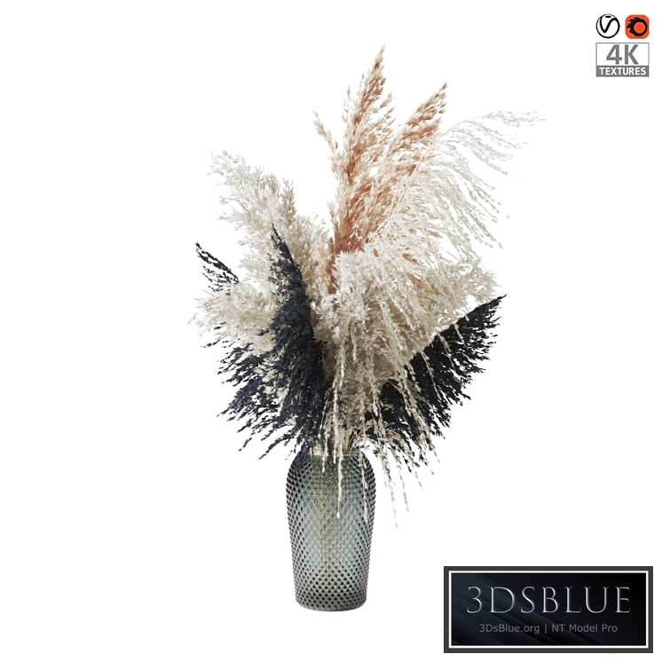 Pampas grass bouquet (Букет пампасной травы)