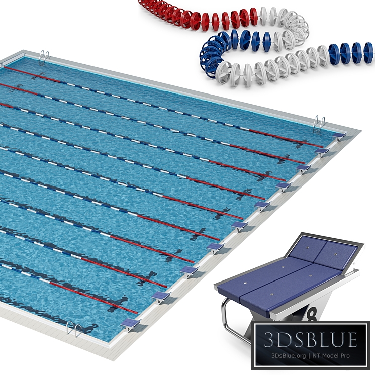 Olympic-size competition swimming pool