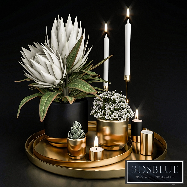 Decorative set with plants in pots.