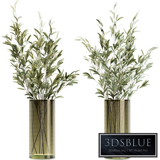 Olive stems in simple glass ribbed vase