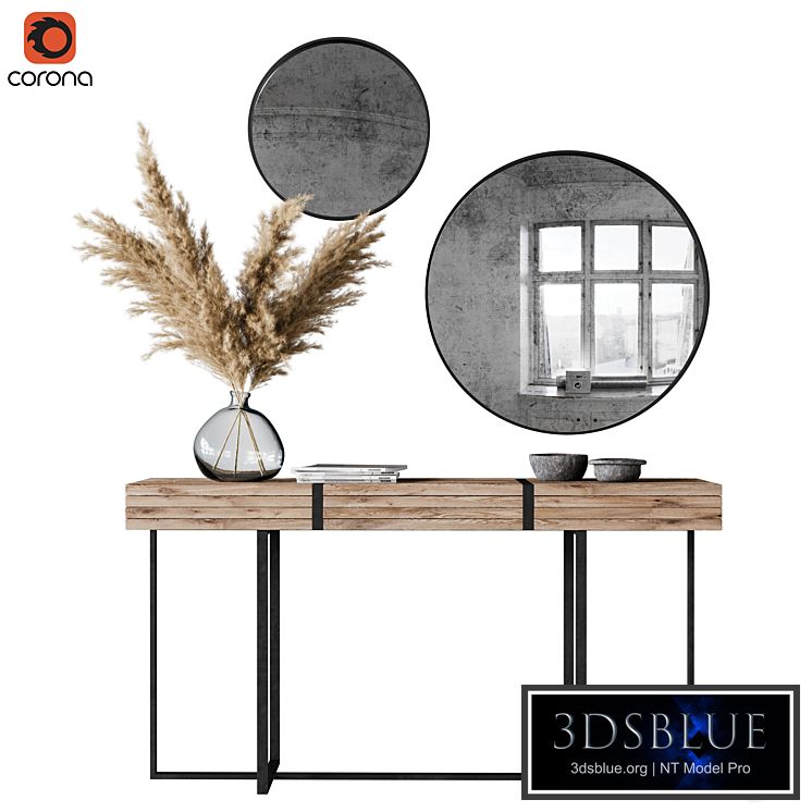 Decoration Set 03 pampas & Console