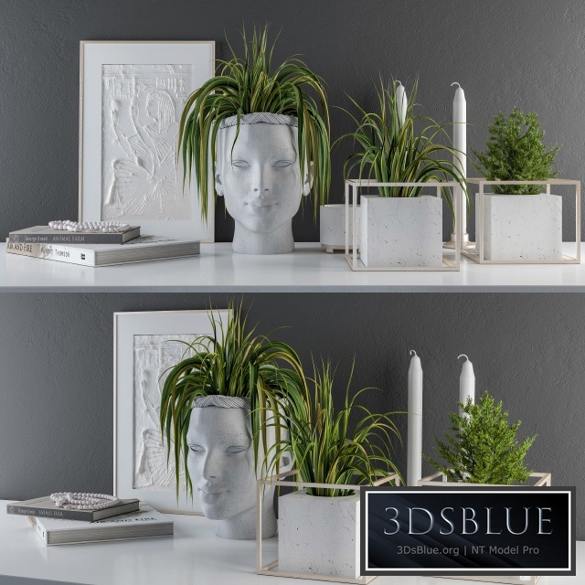 Decorative Set Sculpt Pot and Plants