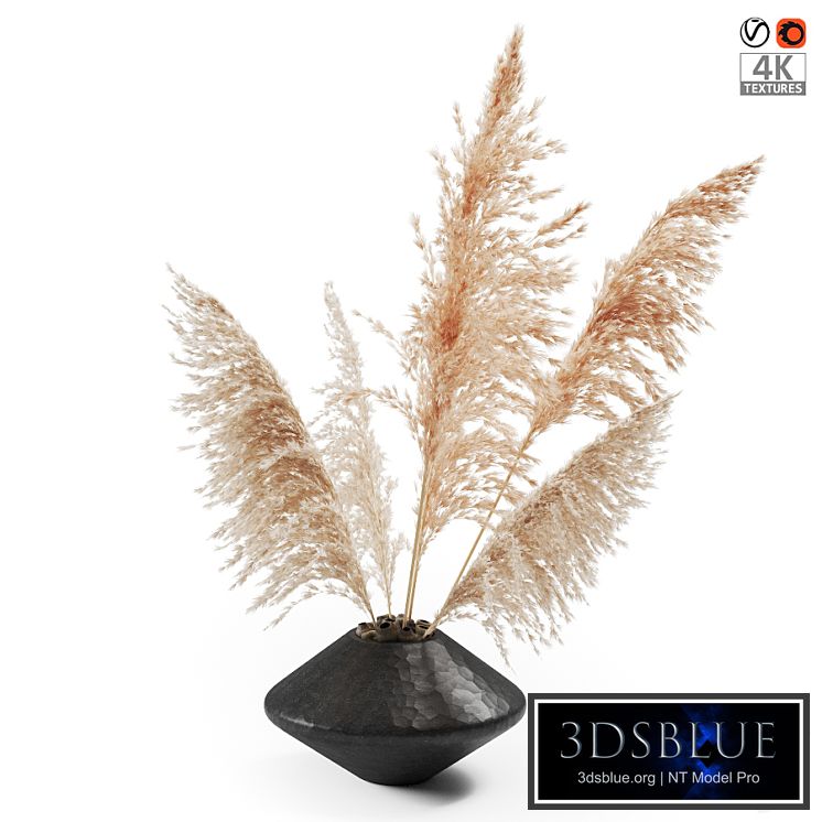 Vase with dried plants