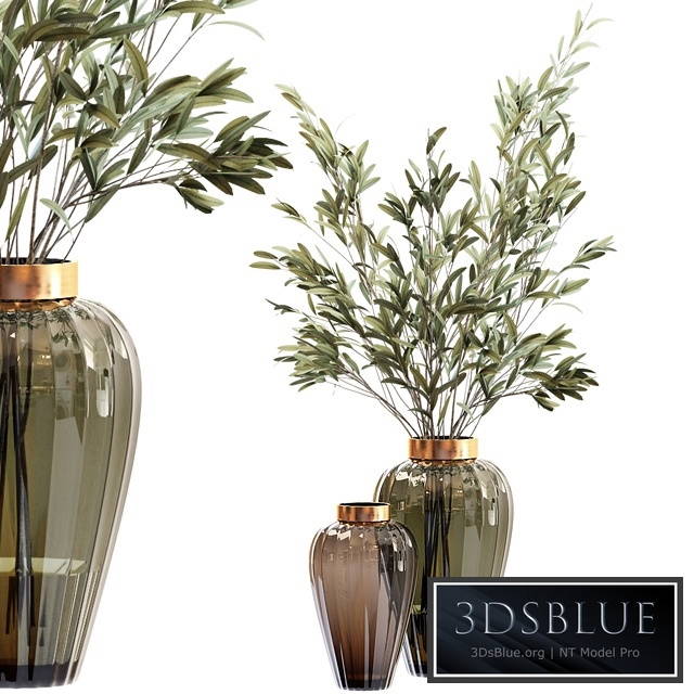 Olive stems in zara glass vase with water