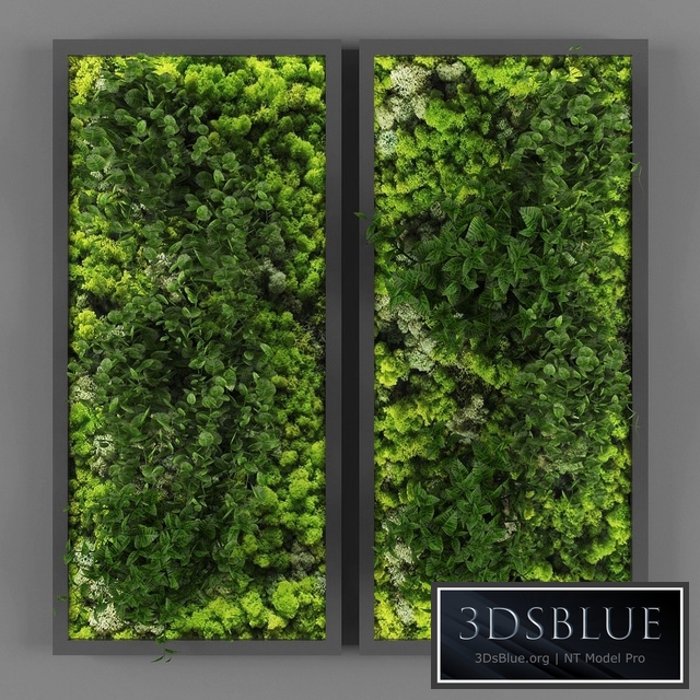 Vertical garden 062