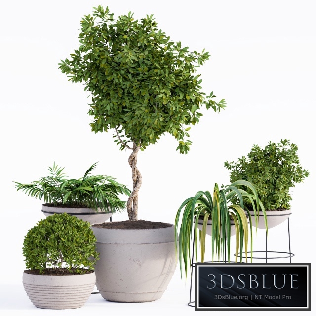 Outdoor Plants Full Set