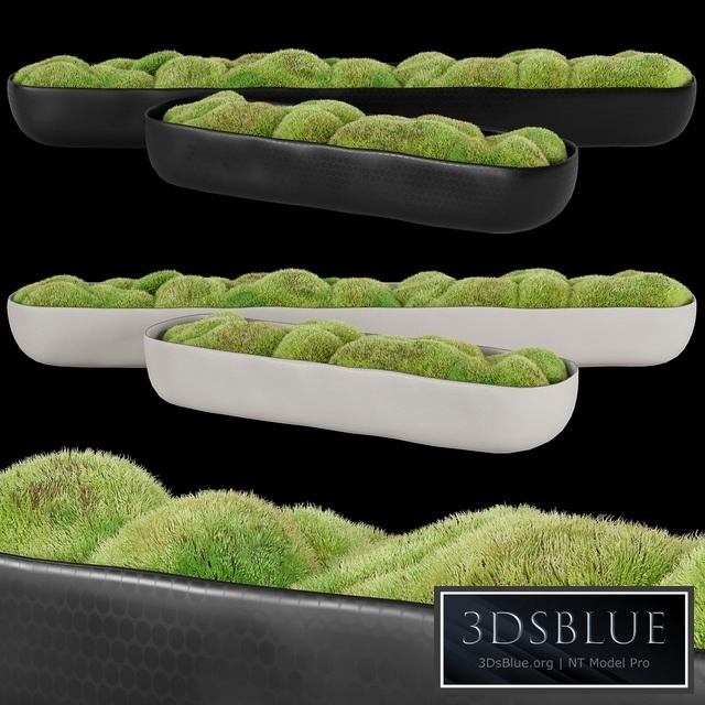 Rh_organic_sculpted_trough