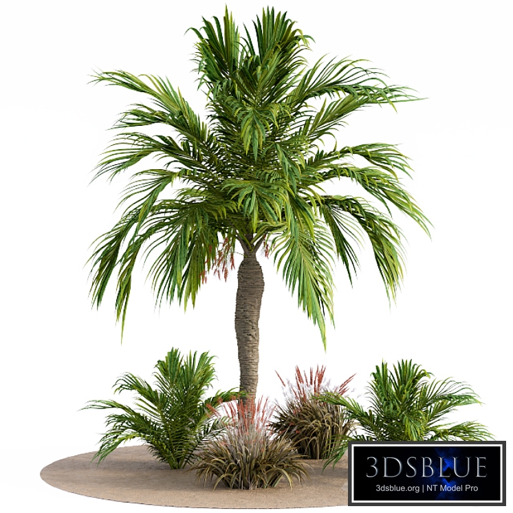 Garden set californication