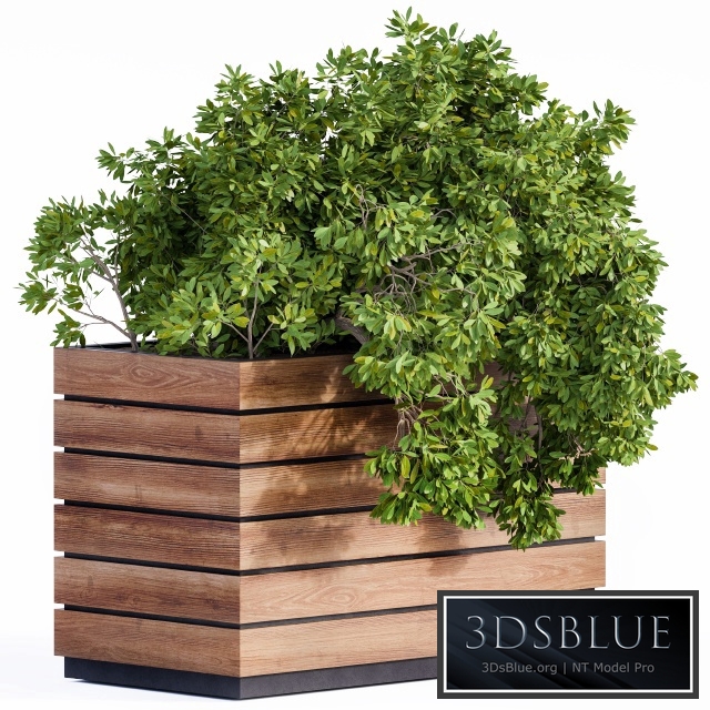 Plant Box Green & Wood