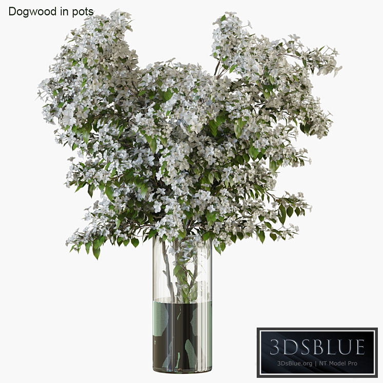 Branches in vases 34