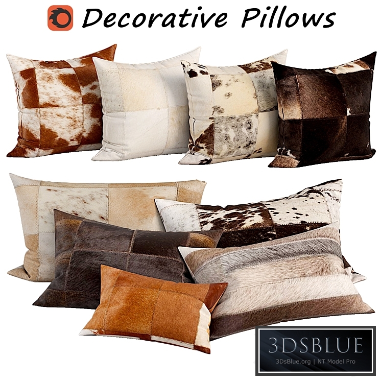 Decorative Pillow set 471