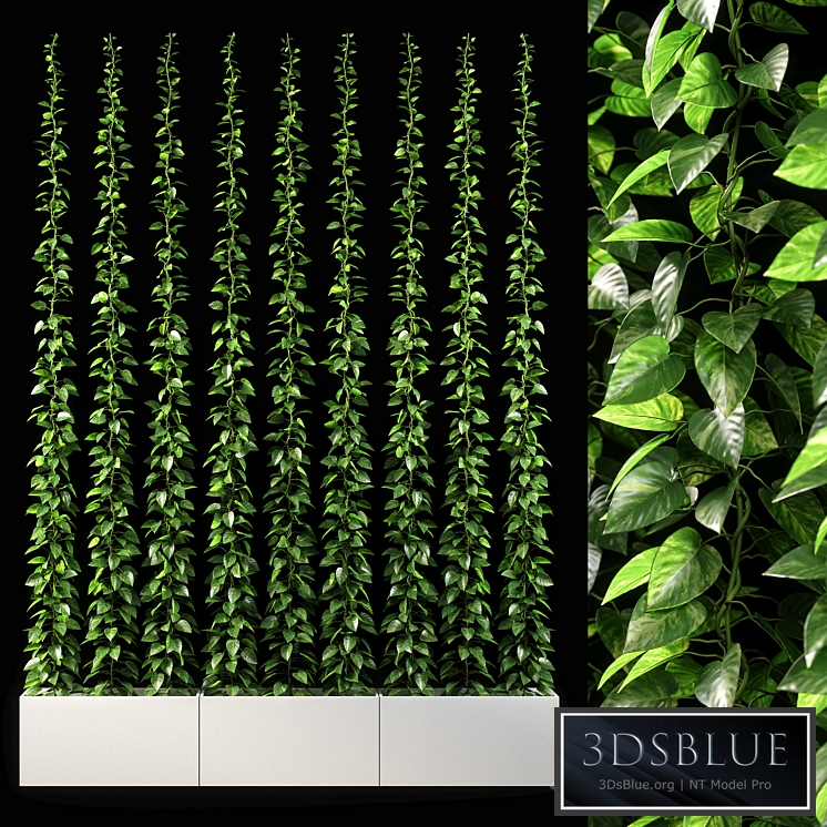vertical garden 09